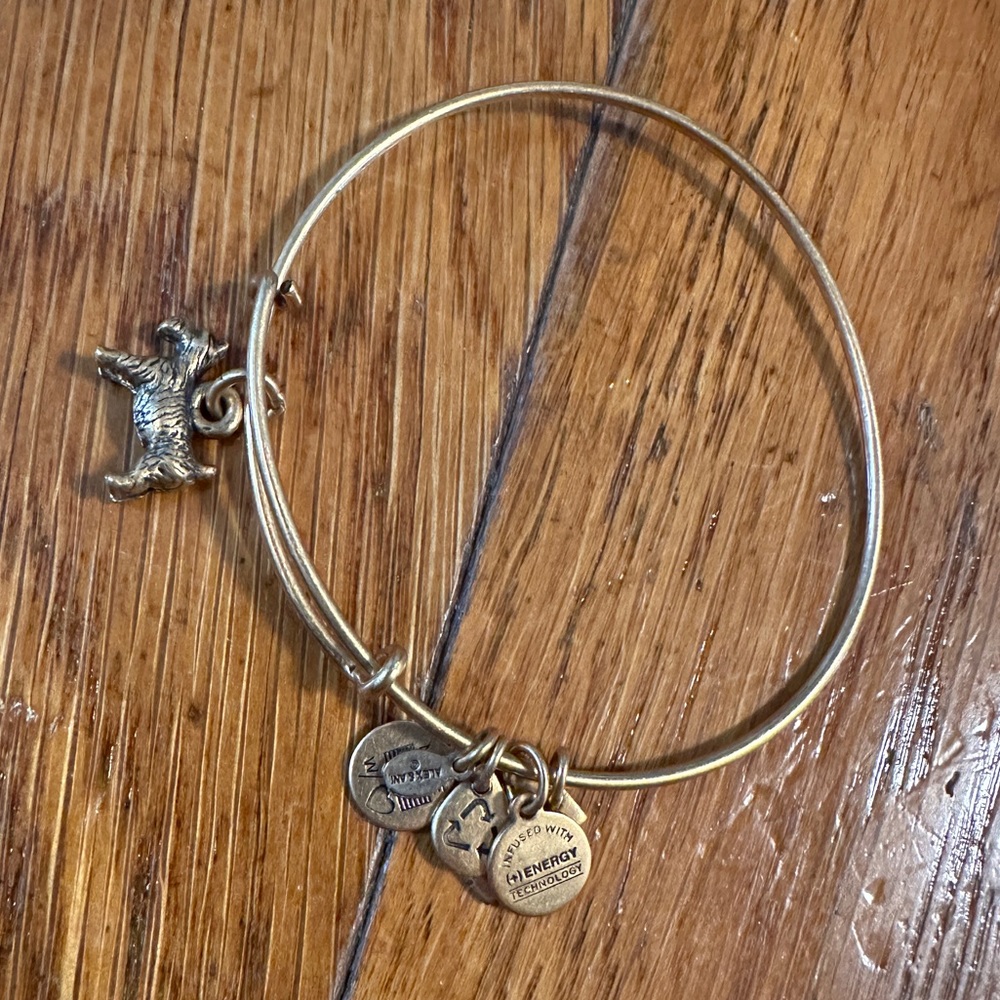 Alex + Ani Gold Monopoly Dog Bracelet